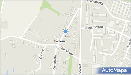 6491004506, Lewandowska Janina, Malinowska Grażyna Spółka C., Kiosk Ogólnospożywczy 