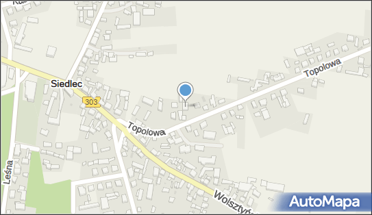 Lex Leszek Tomiak, Topolowa 7, Siedlec 64-212 - Przedsiębiorstwo, Firma, NIP: 9231195043