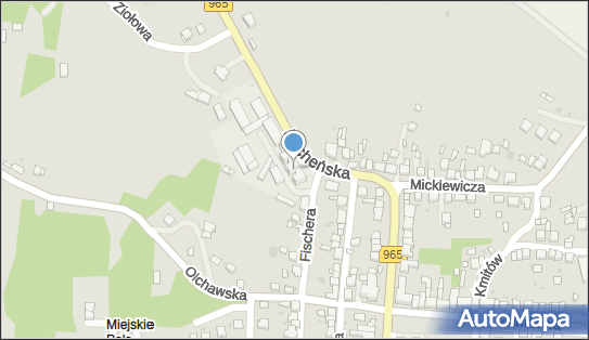 000276498, Liceum Plastyczne im.Jana Matejki w Nowym Wiśniczu 