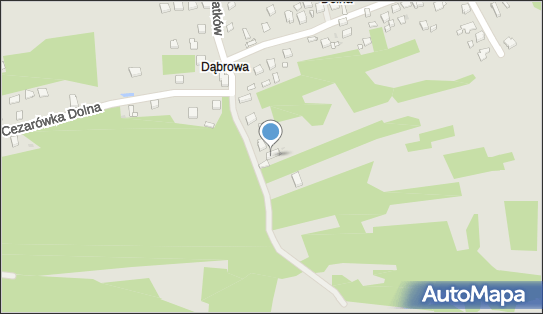 Lichocki Rafał Transraf, ul. Cezarówka Dolna 16, Jaworzno 43-607 - Przedsiębiorstwo, Firma, NIP: 6321527205