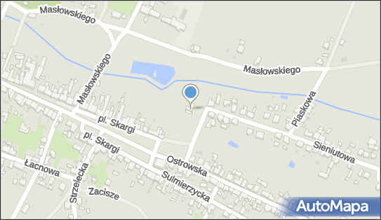 9151309941, Lidia Skrzypek 