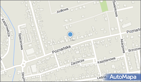 Lidia Szymkowiak Ancilla Lidia Szymkowiak, Poznańska 89, Opalenica 64-330 - Przedsiębiorstwo, Firma, NIP: 7881410893