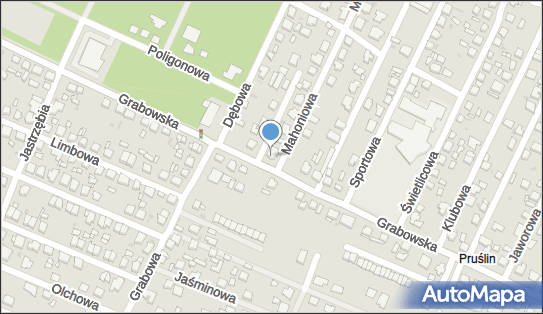 Liliana Połomska Litex, Grabowska 125, Ostrów Wielkopolski 63-400 - Przedsiębiorstwo, Firma, NIP: 6221004376