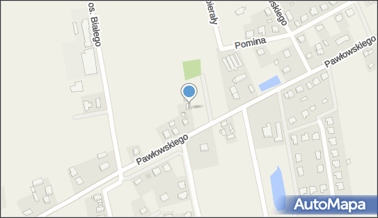 Link 24 Szymon Pisarek, Goślinowo 18B, Goślinowo 62-200 - Przedsiębiorstwo, Firma, NIP: 7842279070