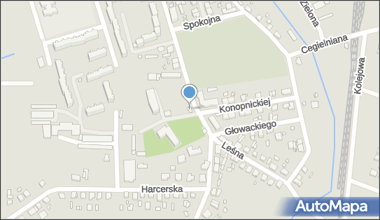 Lisicki Krzysztof SPR Litograf, ul. Tadeusza Kościuszki 58, Dębno 74-400 - Przedsiębiorstwo, Firma, NIP: 5971016058