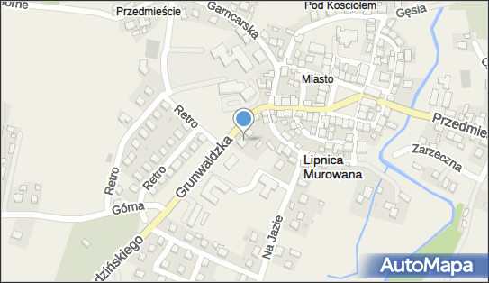 Logopeda Agnieszka Bartkiewicz, Lipnica Murowana 246 32-724 - Przedsiębiorstwo, Firma, numer telefonu, NIP: 8681822841