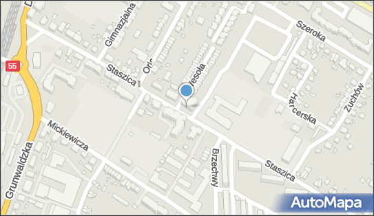 Lomax Sebastian Hanisch, ul. Staszica 23A, Kwidzyn 82-500 - Przedsiębiorstwo, Firma, NIP: 5811938955