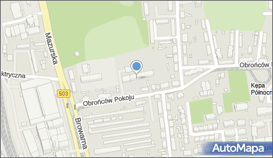 Losinski Finance, Obrońców Pokoju 40, Elbląg 82-300 - Przedsiębiorstwo, Firma, NIP: 5782090970