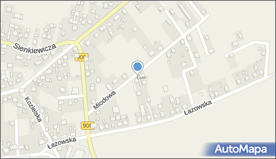 Lppl Web Technologies, Miodowa 20, Koszęcin 42-286 - Przedsiębiorstwo, Firma, NIP: 5213355741