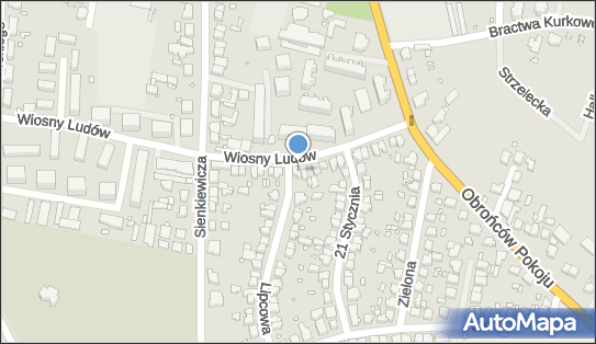 LR Lidia Rubiszewska, Wiosny Ludów 30, Kępno 63-600 - Przedsiębiorstwo, Firma, NIP: 6191581323