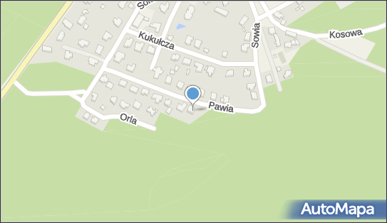 Lubuskie Biuro Koncertowe Orfeusz Bogumiła Tarasiewicz Ciesielsk 66-008 - Przedsiębiorstwo, Firma, numer telefonu