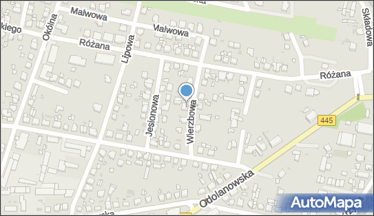 Lucjan Hadaś, Wierzbowa 6, Ostrów Wielkopolski 63-400 - Przedsiębiorstwo, Firma, NIP: 6222107925