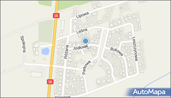 Lucjan Piaskowski, Jodłowa 6, Żydowo 62-241 - Przedsiębiorstwo, Firma, NIP: 7841346634