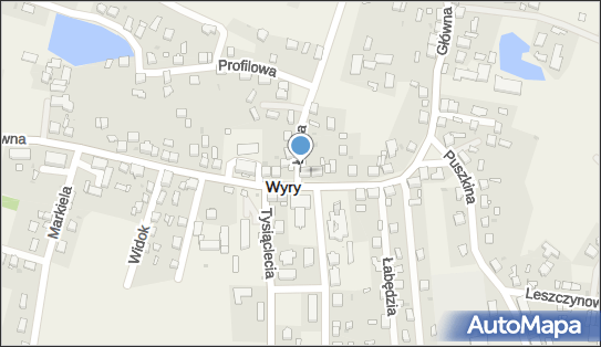 241339051, Kopel Lucyna 