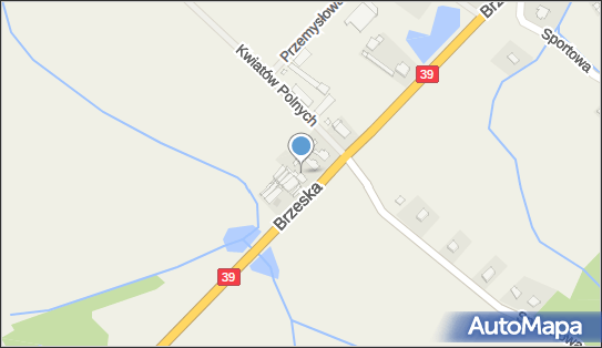 Lucyna Wysocka - Działalność Gospodarcza, Brzeska 1, Lubsza 49-313 - Przedsiębiorstwo, Firma, NIP: 7471052164