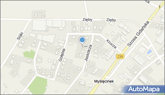 Łuczak Zbigniew Auto Handel Naprawa Samochodów Zbigniew Łuczak 86-031 - Przedsiębiorstwo, Firma, NIP: 5541519673