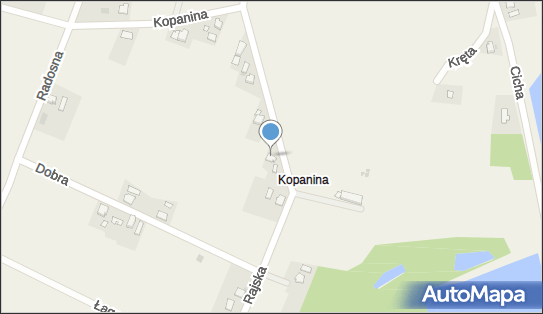 072166345, Hernik Ludwika 