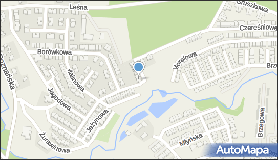 Łukasz Waligórski, Jagodowa 65, Czapury 61-160 - Przedsiębiorstwo, Firma, NIP: 7772612907