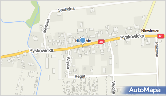 Łukasz Wiechoczek F.H.U.Druxero, Pyskowicka 21, Niewiesze 44-172 - Przedsiębiorstwo, Firma, NIP: 9691526464