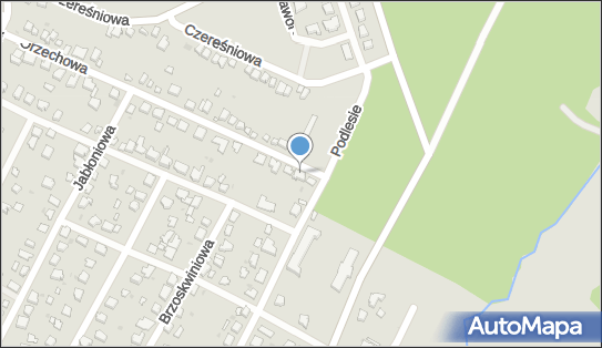 Łukaszz Zblewski, Orzechowa 3, Chojnice 89-600 - Przedsiębiorstwo, Firma, NIP: 5551898614