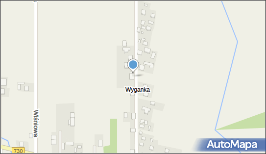 Lynx Karolina Trzaska, Jasieniecka 9A, Jasieniec 05-604 - Przedsiębiorstwo, Firma, NIP: 1230996831