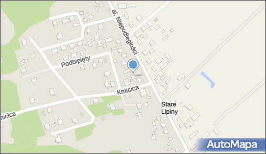 Lyudmyla Petruk, Aleja Niepodległości 54, Wołomin 05-200 - Przedsiębiorstwo, Firma, NIP: 1251428776