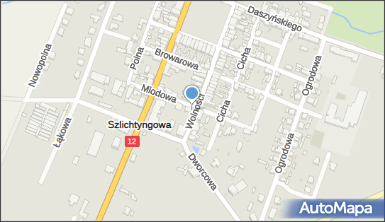 M i M Trans, Wolności 22a, Szlichtyngowa 67-407 - Przedsiębiorstwo, Firma, NIP: 6931757926