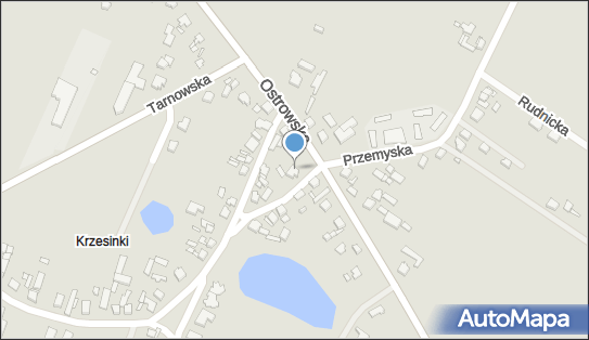 M M Trans, Świątniczki 2, Poznań 61-324 - Przedsiębiorstwo, Firma