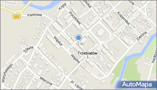 M T M S Monika Duszkiewicz Tomasz Sołtysiak, Witosa Wincentego 9b 72-320 - Przedsiębiorstwo, Firma, NIP: 8571844681