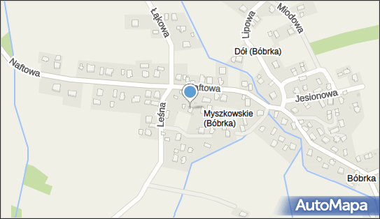 6881290454, Maciej Zamojski Chaty Na Cholewicy 