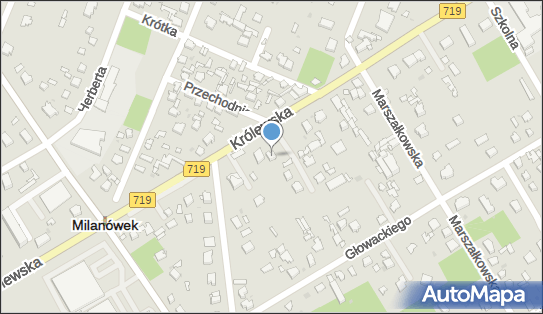 Madoks Dariusz Przegaliński, Królewska 105, Milanówek 05-822 - Przedsiębiorstwo, Firma, NIP: 5291131435