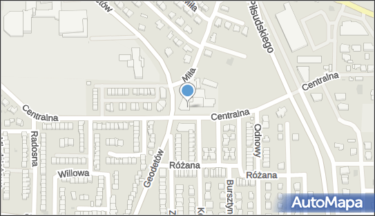 Magda Buczkowska Kwiaciarnia Róża, ul. Centralna 10, Wyszków 07-200 - Przedsiębiorstwo, Firma, NIP: 7621917098