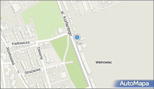 Magdalena Cichoń, Aleja Wojciecha Korfantego 141C, Katowice 40-154 - Przedsiębiorstwo, Firma, NIP: 6341343129
