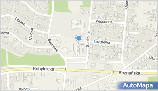7772963995, Kwiaciarnia 