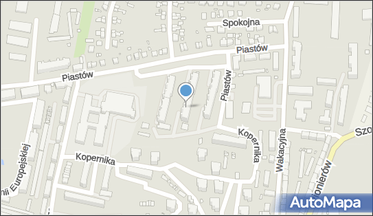 Magic Hand, ul. Piastów 20E, Krosno Odrzańskie 66-600 - Przedsiębiorstwo, Firma, numer telefonu, NIP: 9261328632