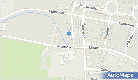Magic Land, Gimnazjalna 1, Jelcz-Laskowice 55-220 - Przedsiębiorstwo, Firma, NIP: 8992153000