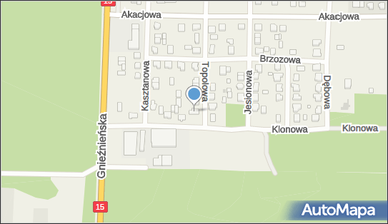 Magnat, Klonowa 7, Cielimowo 62-220 - Przedsiębiorstwo, Firma, NIP: 7840010889