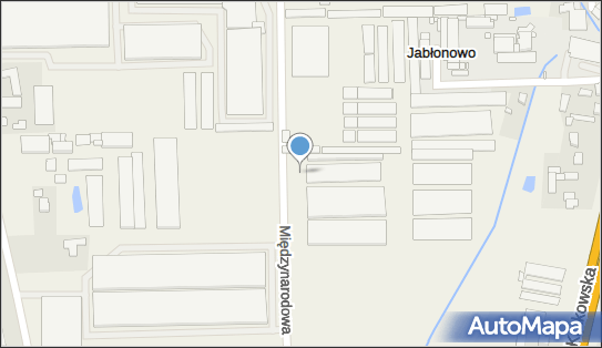 Maja Lewandowska, Międzynarodowa 9, Jabłonowo 05-552 - Przedsiębiorstwo, Firma, NIP: 8911019971