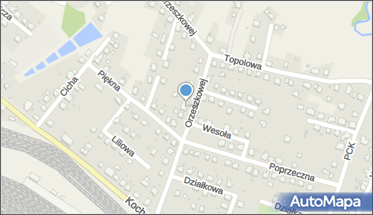 6331980797, Maja Damps 