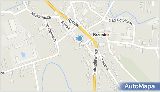 8721973429, Pizzeria Alina Golec 