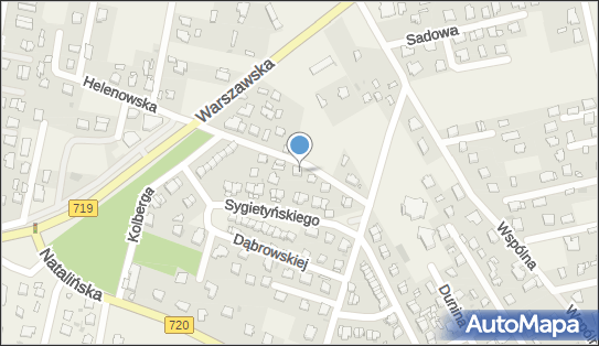 Malarstwo Amatorskie Obrazy Olejne, ul. TEOPLITZA 6, Otrębusy 05-805 - Przedsiębiorstwo, Firma, NIP: 5341312364
