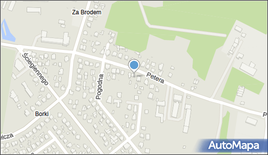 Malarstwo Artystyczne, ul. Janusza Petera 44, Tomaszów Lubelski 22-600 - Przedsiębiorstwo, Firma, NIP: 9211149525