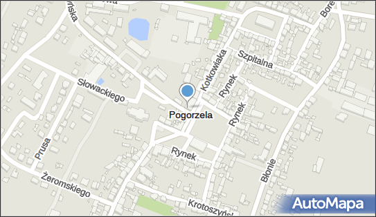 Malarstwo Tapeciarstwo Ryszard Kryś Pogorzela, Rynek 37, Pogorzela 63-860 - Przedsiębiorstwo, Firma, NIP: 6961178742