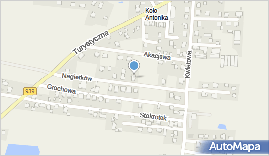 Małgorzata Herok, Nagietków 3, Łąka 43-241 - Przedsiębiorstwo, Firma, NIP: 6381294325