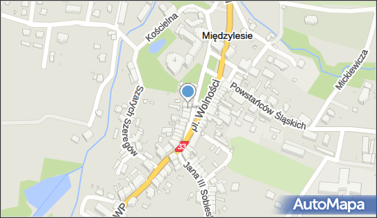 Małgorzata Kałka, pl. Wolności 36, Międzylesie 57-530 - Przedsiębiorstwo, Firma, NIP: 8810004525