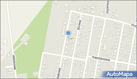 Małgorzata Lew - Alex Bis, Makowa 50, Ostrów Wielkopolski 63-400 - Przedsiębiorstwo, Firma, NIP: 6221412773