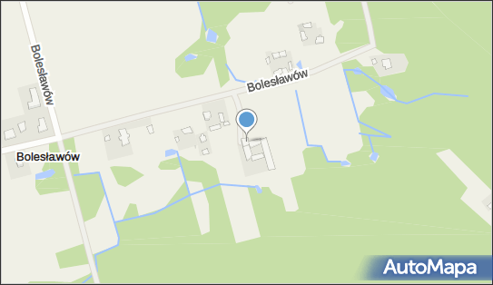 146081755, Małgorzata Walczak Hodowla Psów Rasowych 