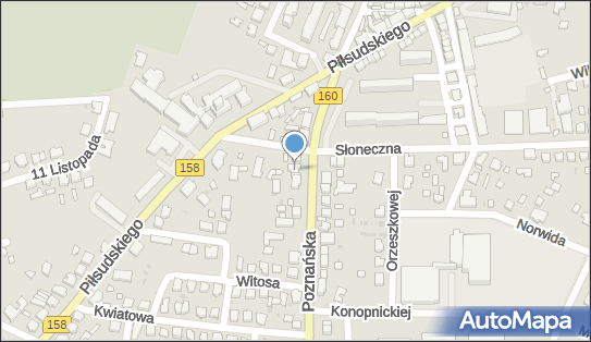 Małgorzata Wojcieszak Amelis, Poznańska 2, Drezdenko 66-530 - Przedsiębiorstwo, Firma, NIP: 5992754169