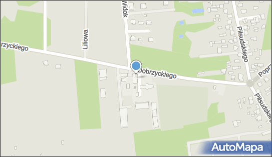 Malinowo Przedsiębiorstwo Handlowo Usługowe Mariola Majewska-Czerwonka 05-319 - Przedsiębiorstwo, Firma, NIP: 8221556496