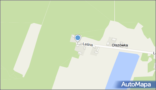 Mani Mariusz Wiśniewski, ul. Leśna 21, Olszówka 96-300 - Przedsiębiorstwo, Firma, NIP: 8381716767